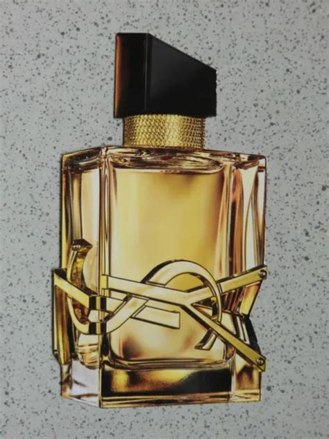 ysl eur